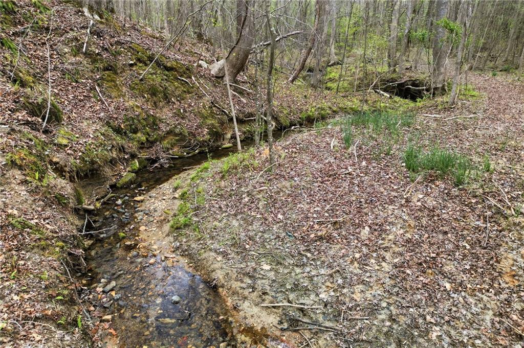 0 Carlan Road Jasper, GA 30143 - Photo 16 of 19