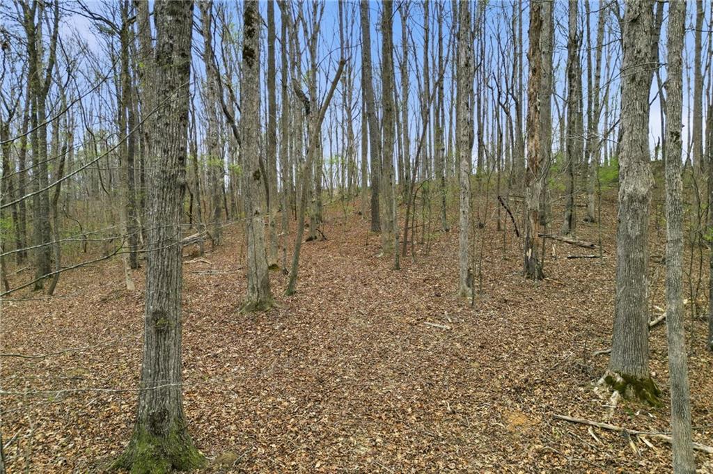 0 Carlan Road Jasper, GA 30143 - Photo 17 of 19