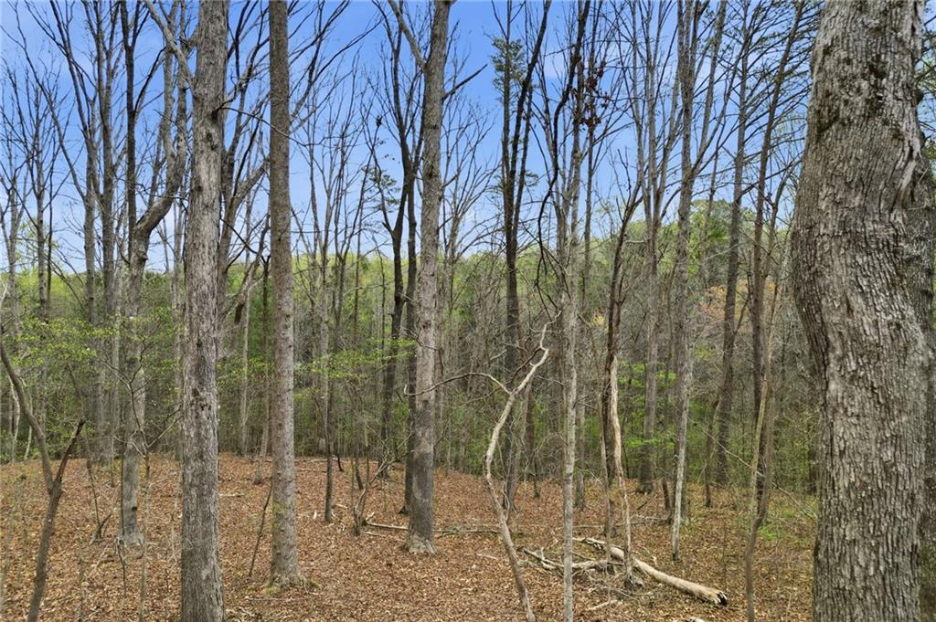 0 Carlan Road Jasper, GA 30143 - Photo 18 of 19