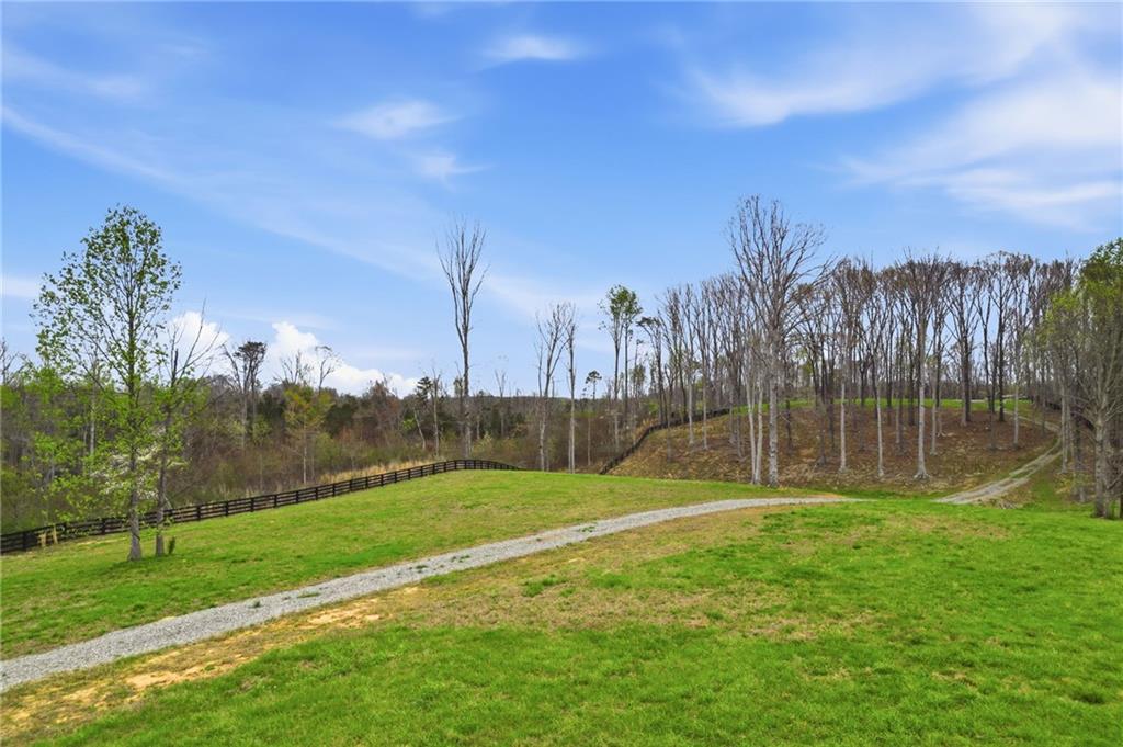 0 Carlan Road Jasper, GA 30143 - Photo 2 of 19