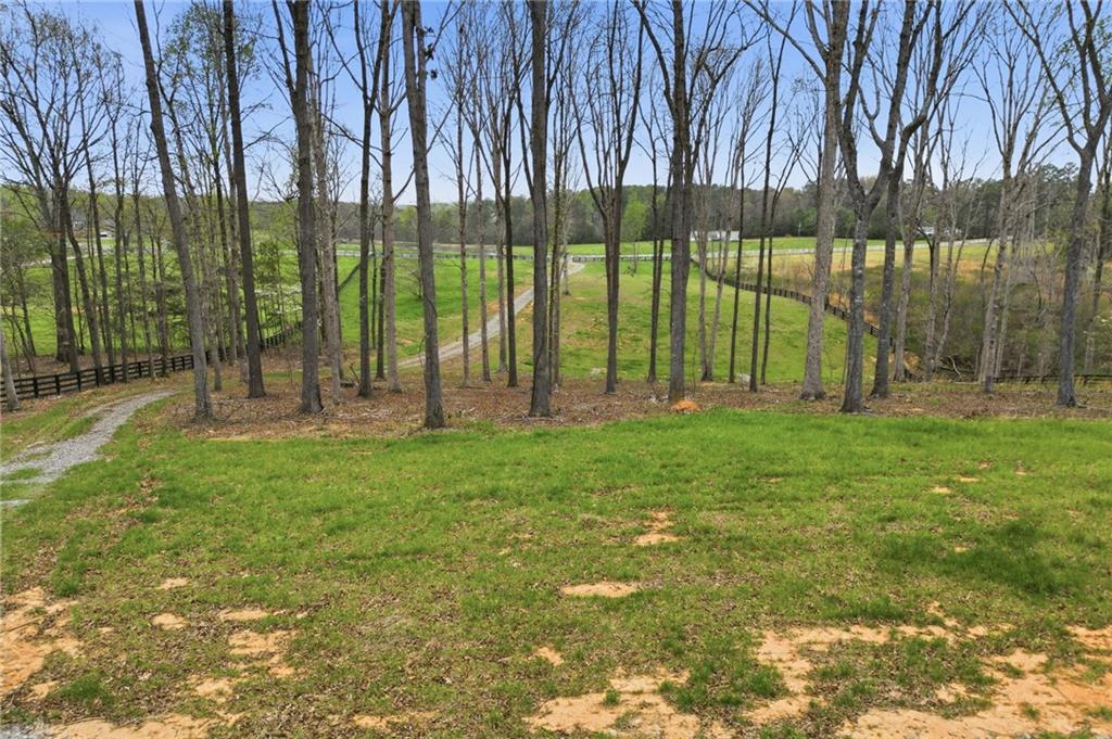 0 Carlan Road Jasper, GA 30143 - Photo 8 of 19