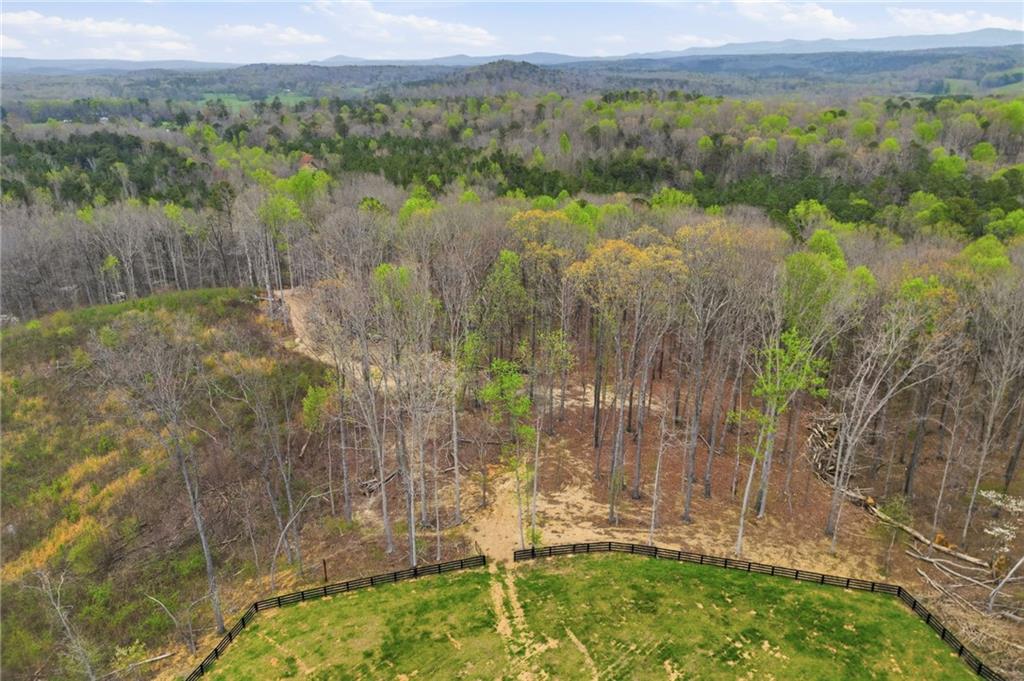 0 Carlan Road Jasper, GA 30143 - Photo 10 of 19