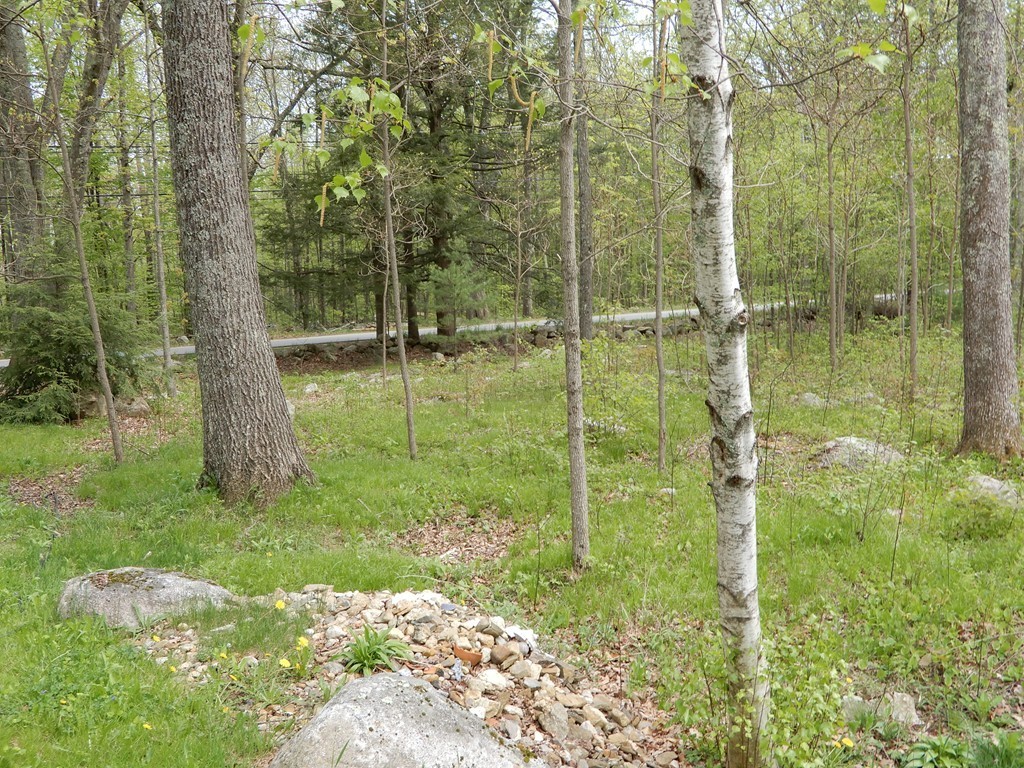 187 Oakham Road North Brookfield, MA 01535 - Photo 10 of 28