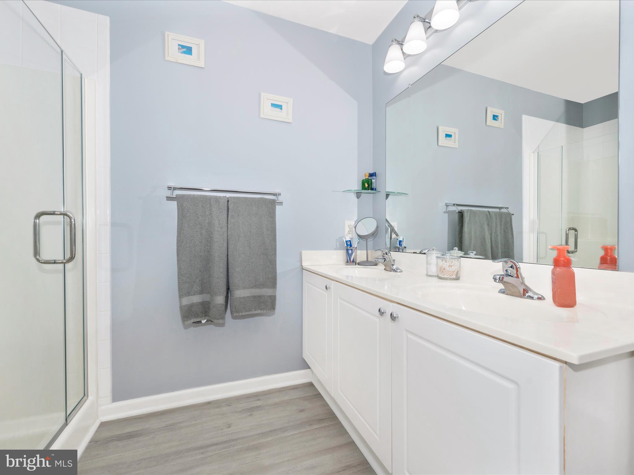 22 Rockingham Drive Keedysville, MD 21756 - Photo 23 of 46 Primary Bathroom