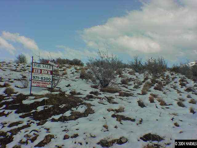 3230 Deerlodge Road Reno, NV 89508 - Photo 1 of 1 a view of a dry yard