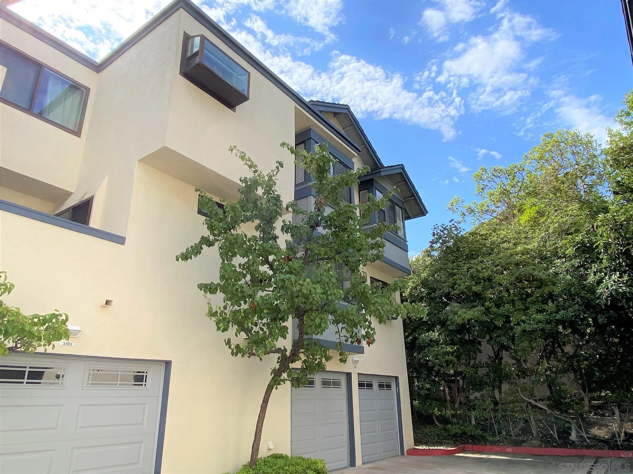 3195 Morning Way La Jolla, CA 92037 - Photo 15 of 18 a plant that is in front of a house