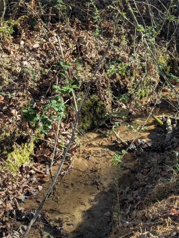 $45,000 | 112 B Pleasant Hill Court, Central, SC 29630