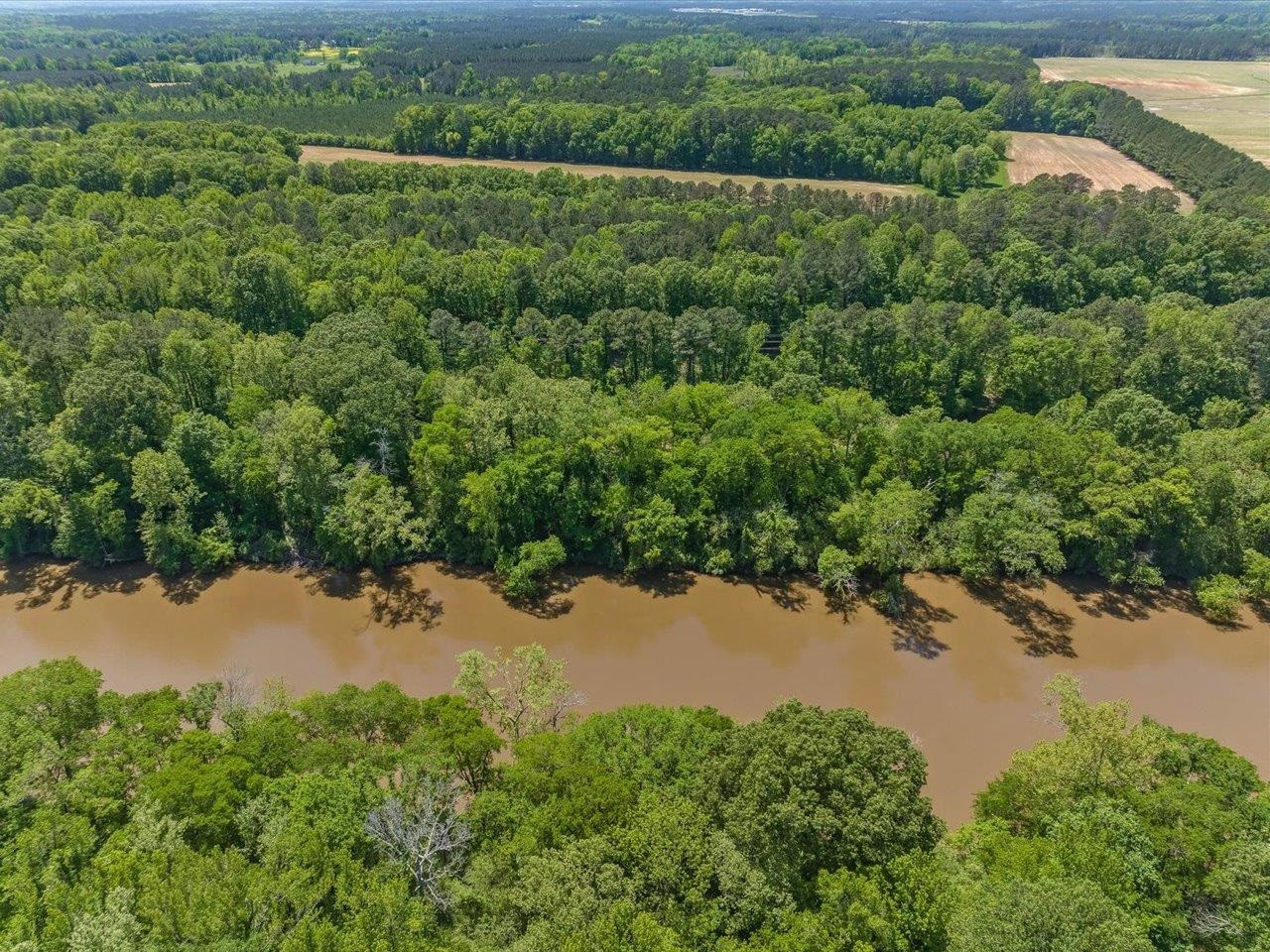 448 River Point Road Moncure, NC 27559 - Photo 46 of 57 Photo 46