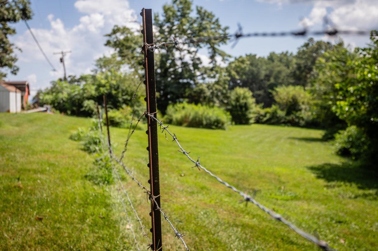 1557 Rinacas Corner Road Shenandoah, VA 22849 - Photo 16 of 32 a view of an outdoor space and a yard