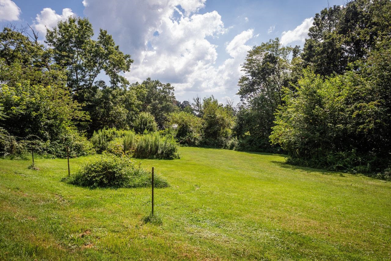 1557 Rinacas Corner Road Shenandoah, VA 22849 - Photo 18 of 32 a view of an outdoor space and yard