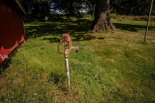 a view of a forest with trees