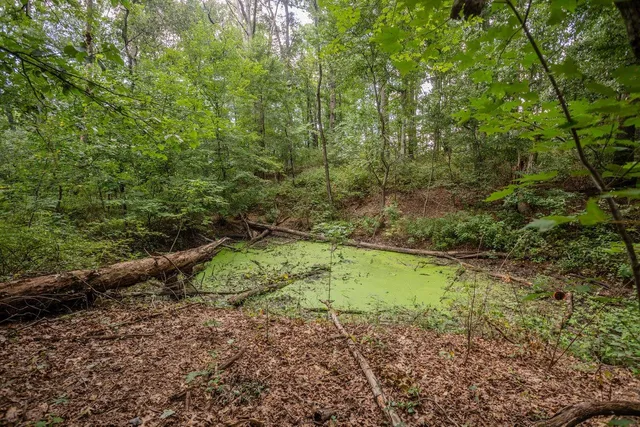 a view of a lake with green space