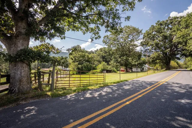 a view of a yard with palm tree