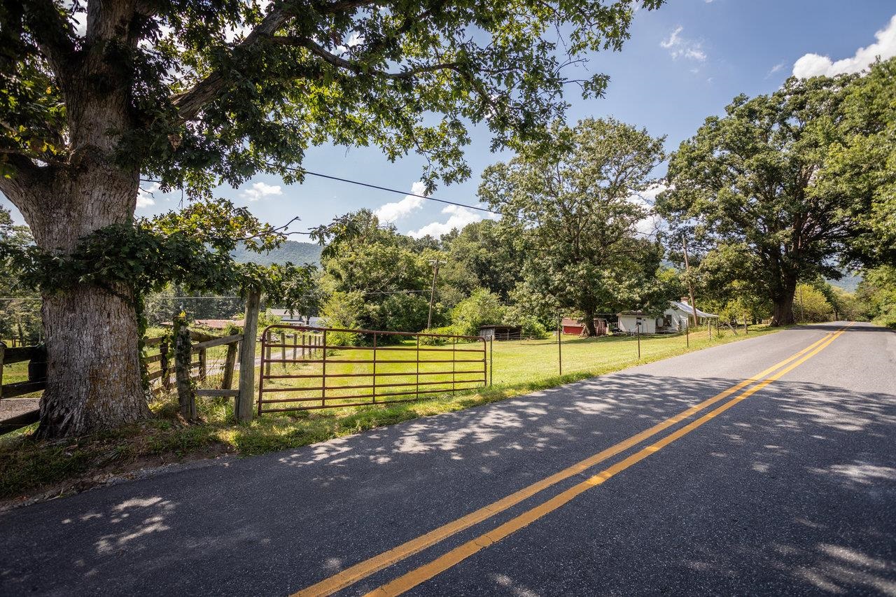 1557 Rinacas Corner Road Shenandoah, VA 22849 - Photo 5 of 32 a view of a yard with palm tree
