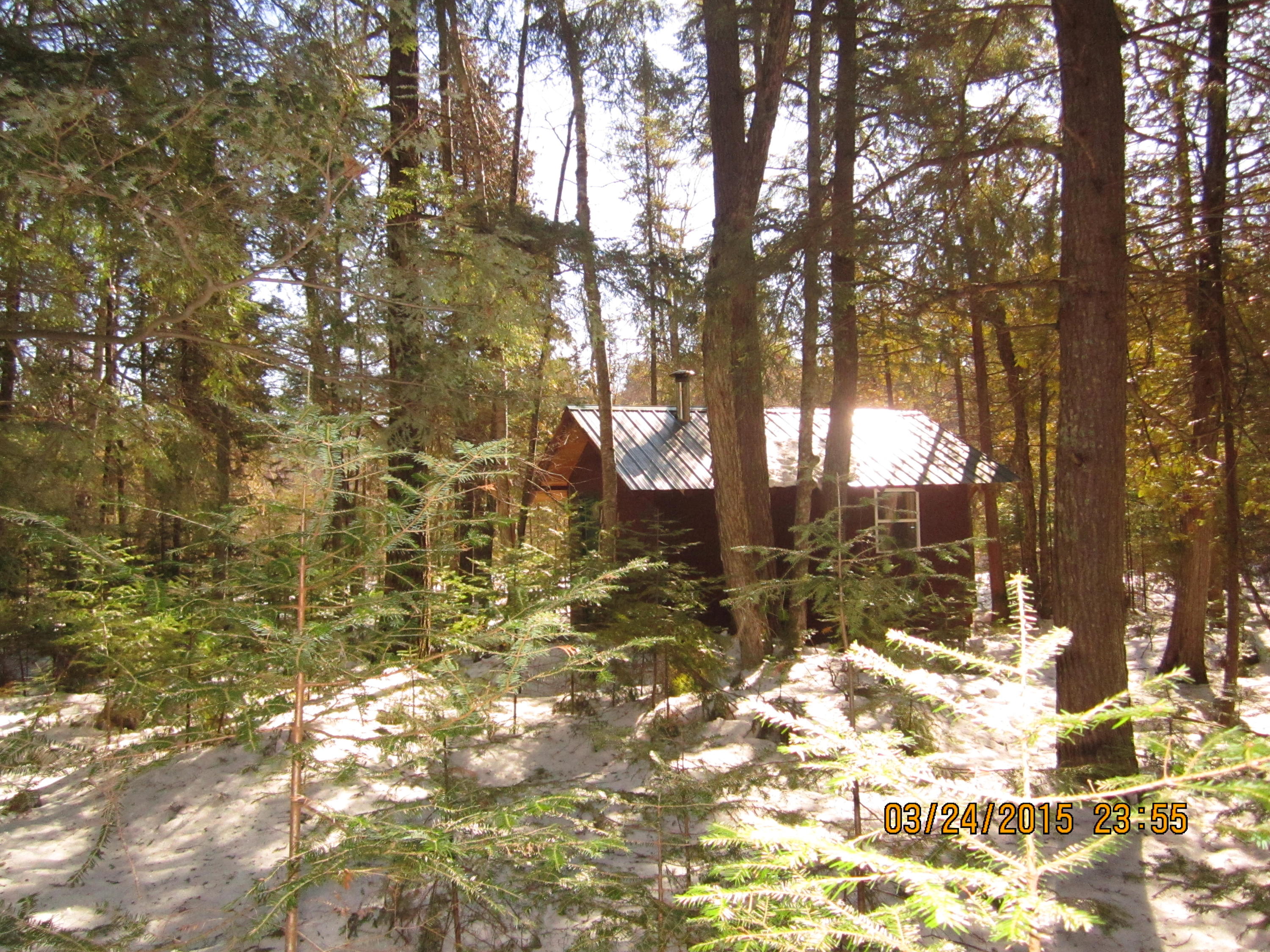 0 Ten Curves Road McMillan, MI 49853 - Photo 1 of 8 Gallery Image 1