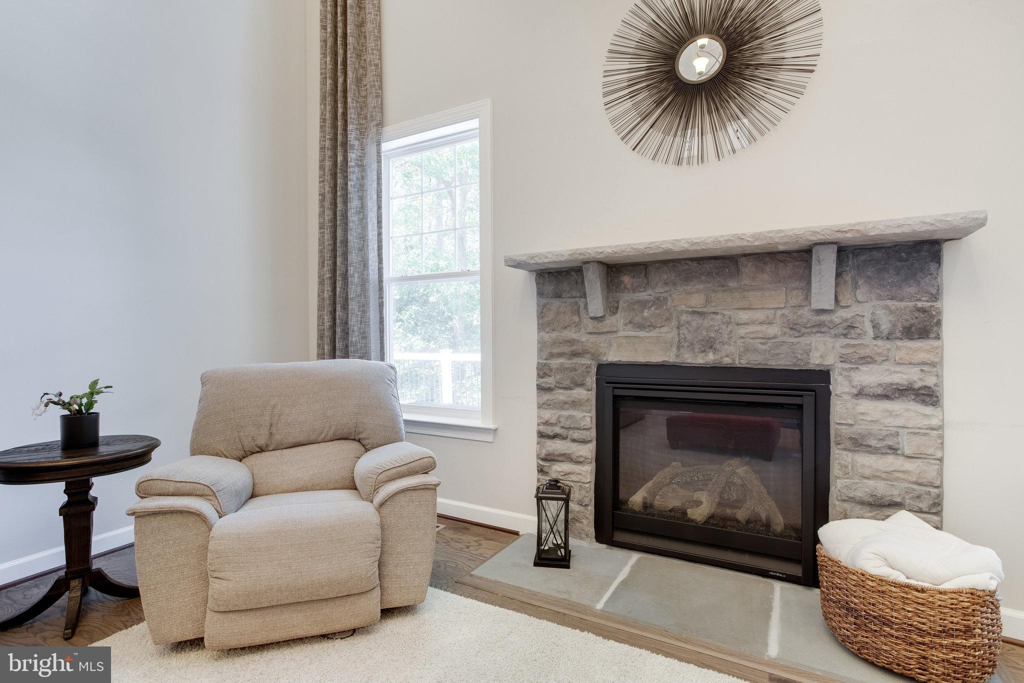 136 Moore Road Arnold, MD 21012 - Photo 7 of 69 Gas Fireplace