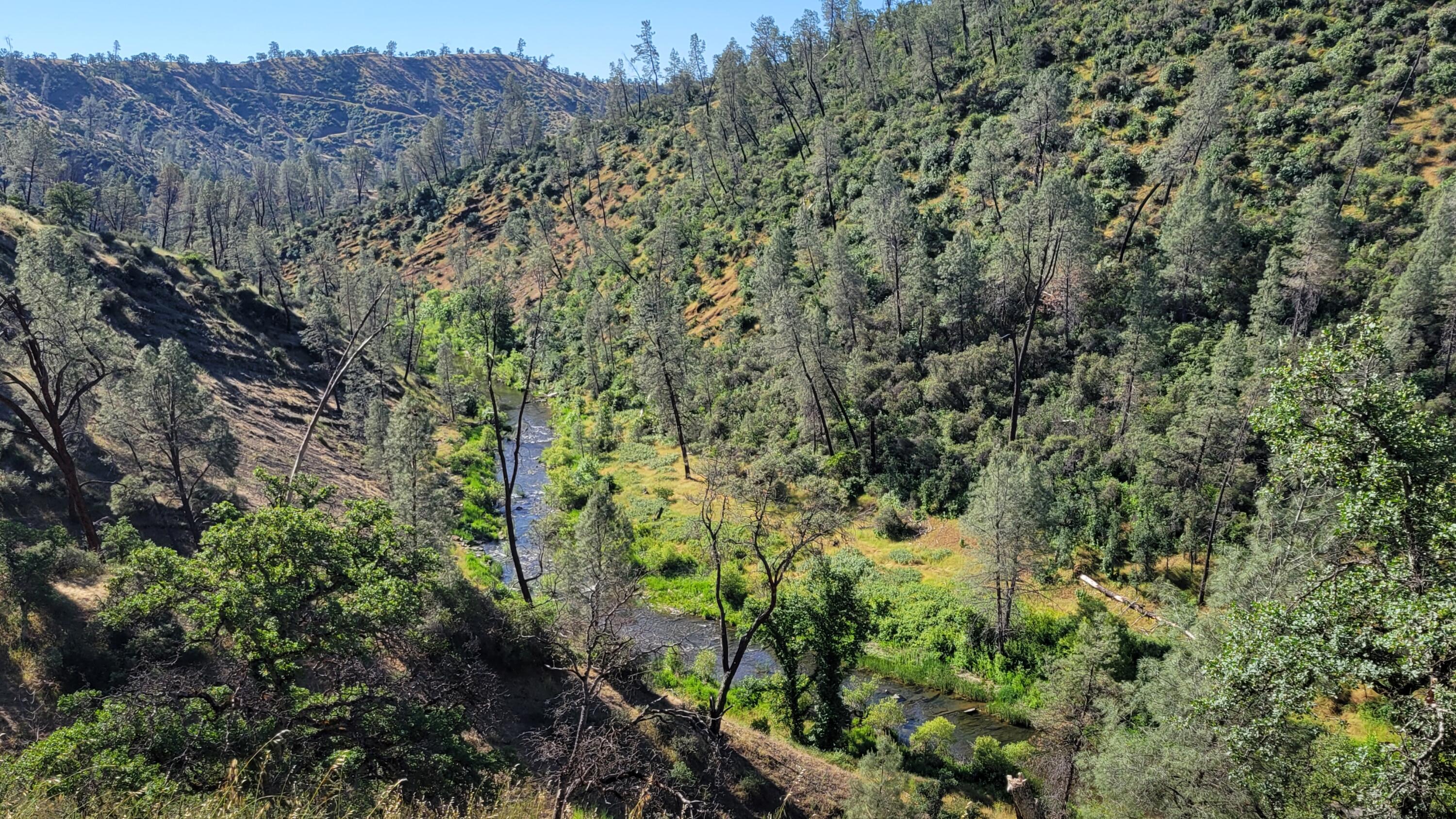 Lot 229 Yolla Bolly Road Igo, CA 96047 - Photo 14 of 66 20260510_093933
