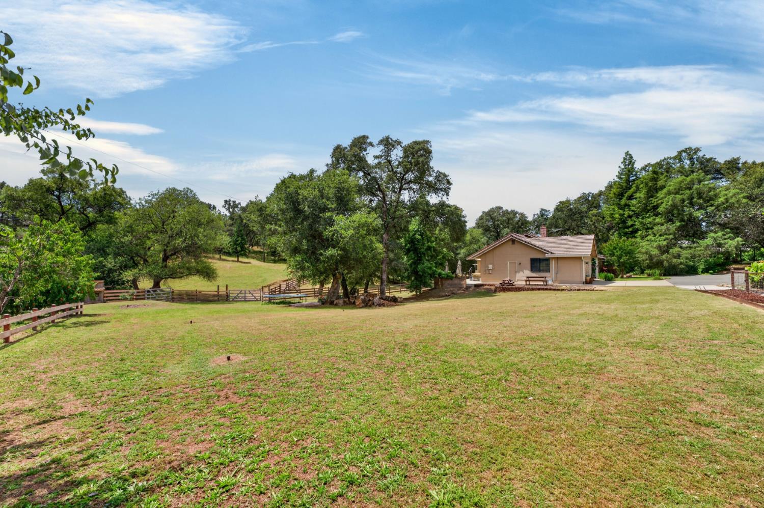 4920 Upson Downs Road Newcastle, CA 95658 - Photo 86 of 98 huge pasture