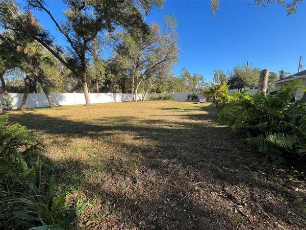 a view of yard with trees