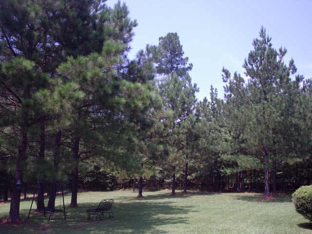 90 New Hope Road Winona, MS 38967 - Photo 1 of 1 Photo 1
