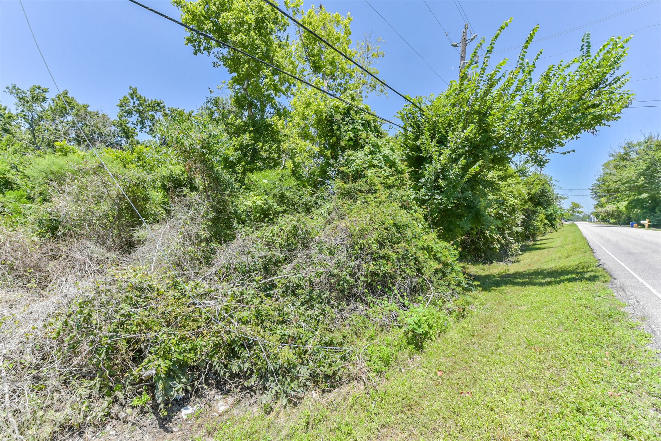 5307 Barkaloo Road Baytown, TX 77521 - Photo 3 of 5 a view of a yard with plants and large trees