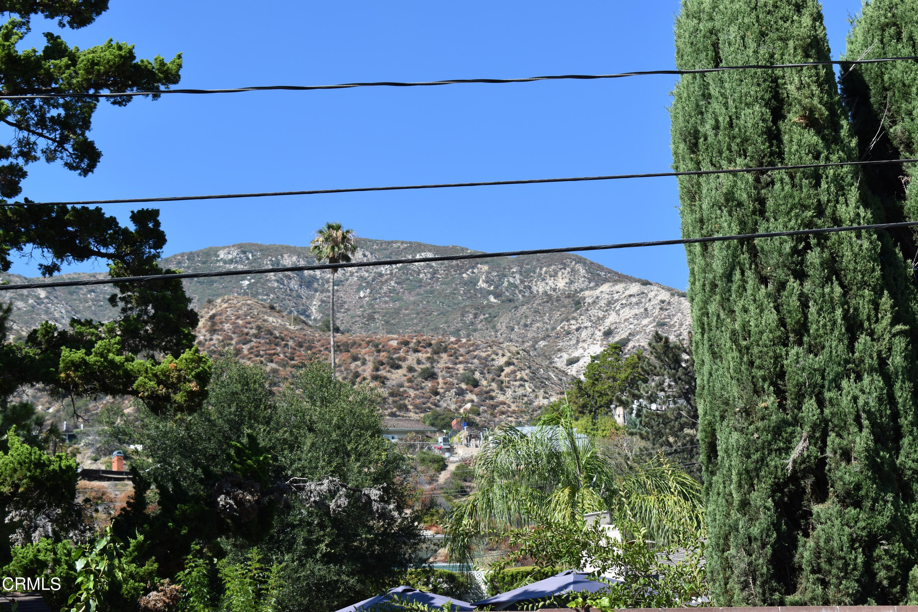DSC_0439