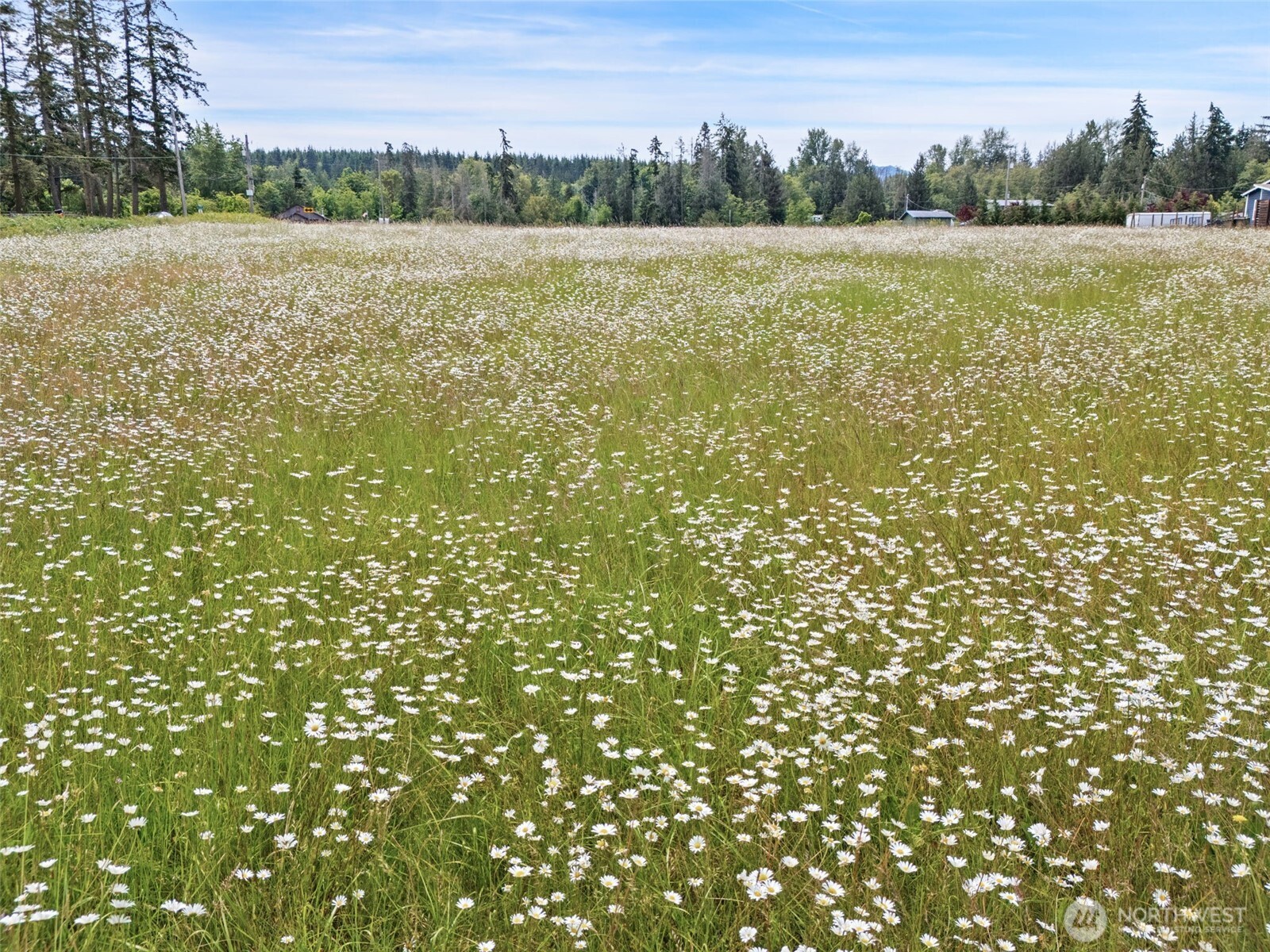 9999 Kirk Road Sequim, WA 98382 - Photo 16 of 22