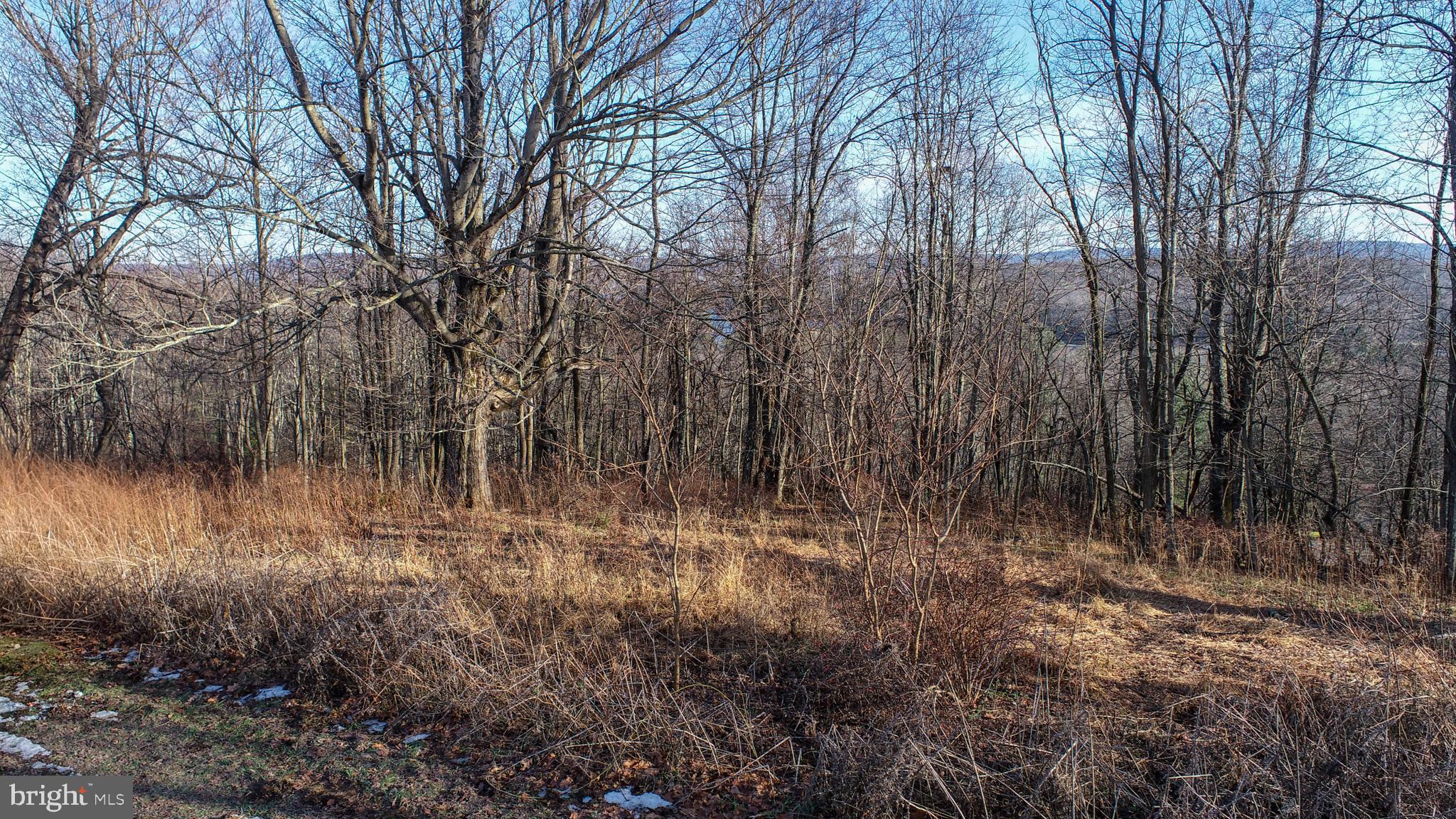Lot 20 Paradise Ridge Road Oakland, MD 21550 - Photo 11 of 31 a view of a yard