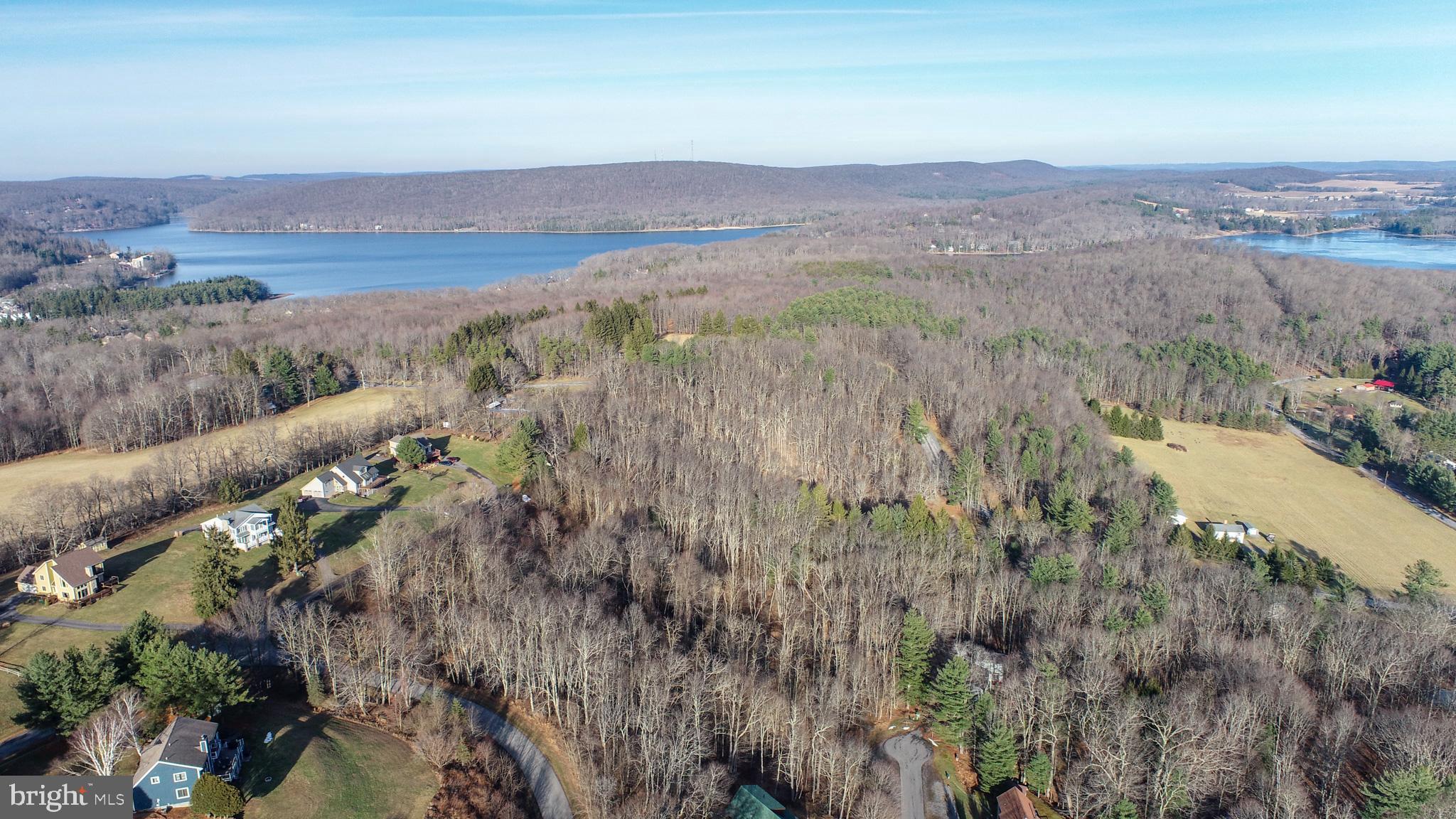 Lot 20 Paradise Ridge Road Oakland, MD 21550 - Photo 19 of 31 a view of mountain and a lake view