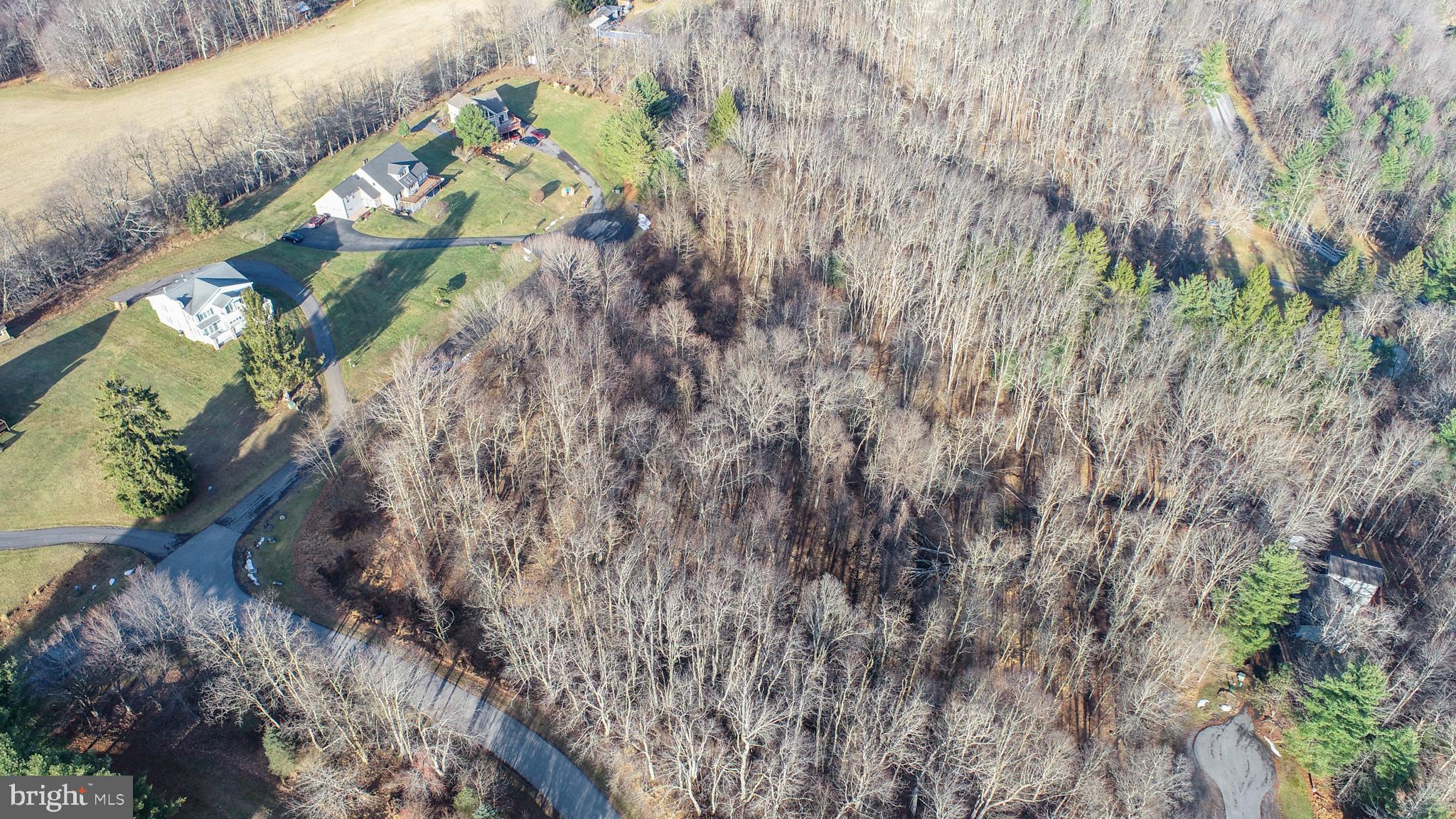 Lot 20 Paradise Ridge Road Oakland, MD 21550 - Photo 20 of 31 a picture of tree
