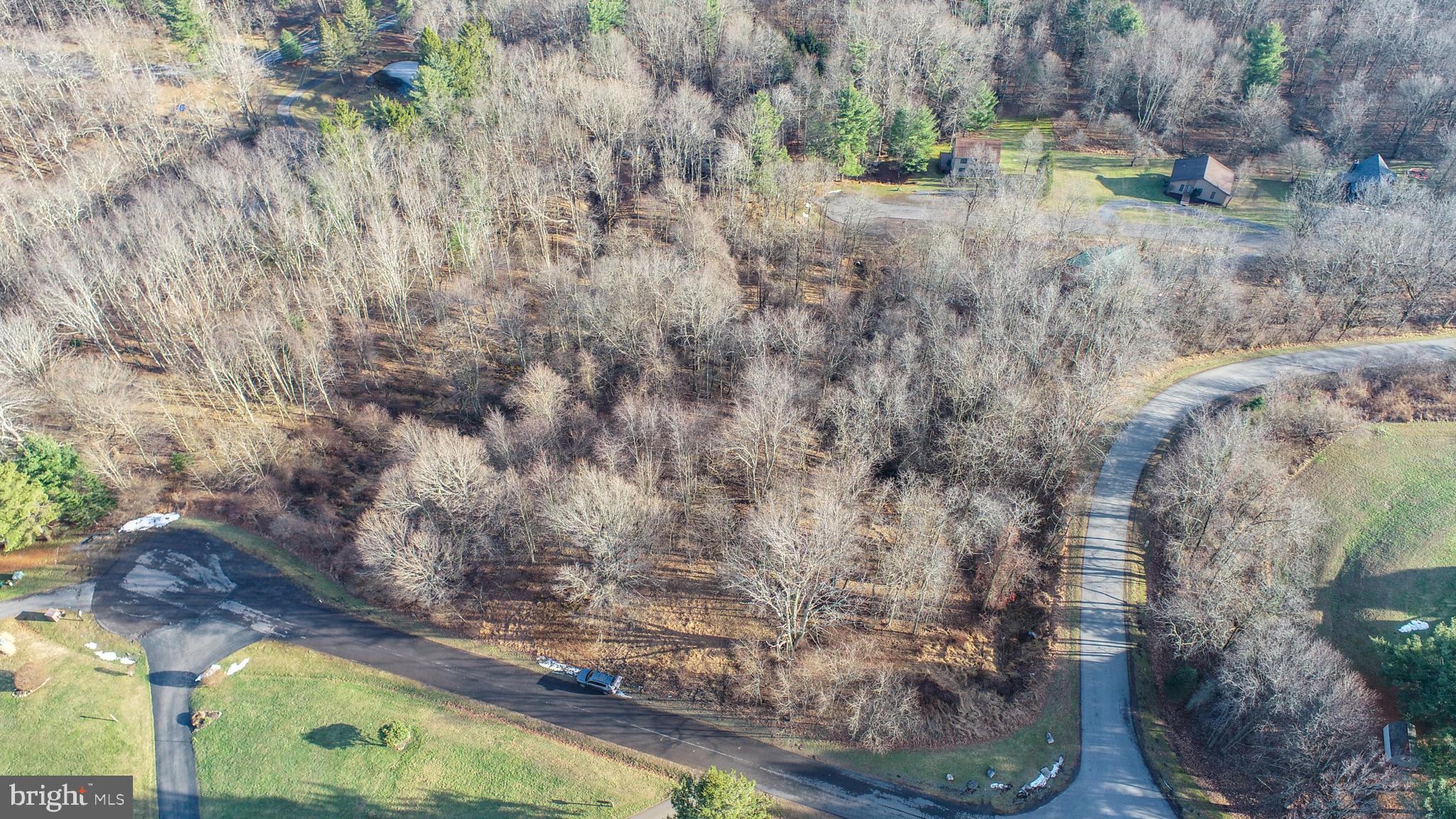 Lot 20 Paradise Ridge Road Oakland, MD 21550 - Photo 6 of 31 a view of a yard with wooden floor