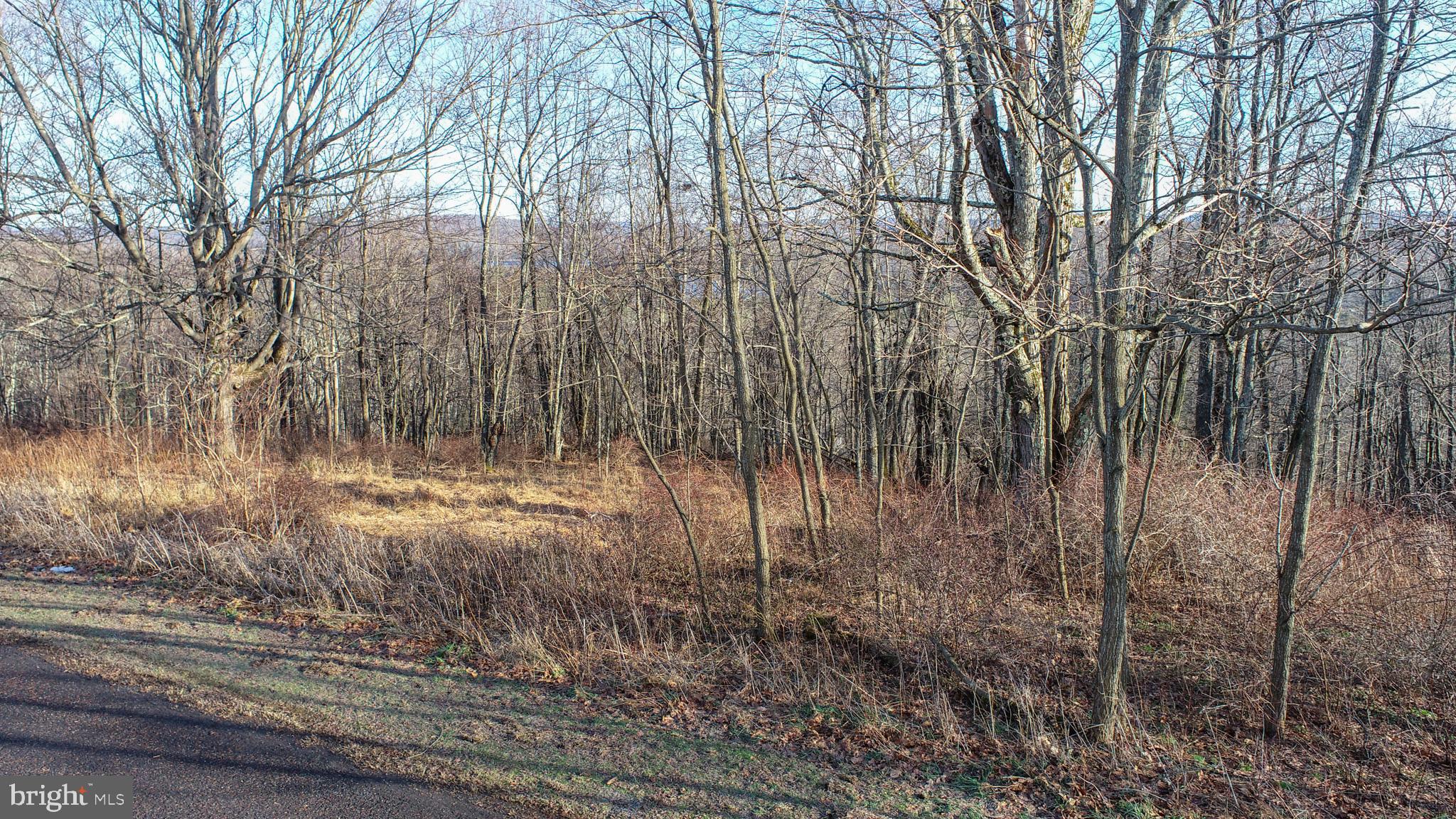 Lot 20 Paradise Ridge Road Oakland, MD 21550 - Photo 7 of 31 a view of forest
