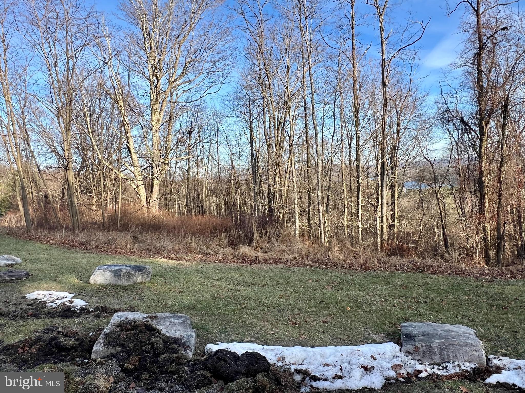 Lot 20 Paradise Ridge Road Oakland, MD 21550 - Photo 8 of 31 a view of backyard with outdoor space