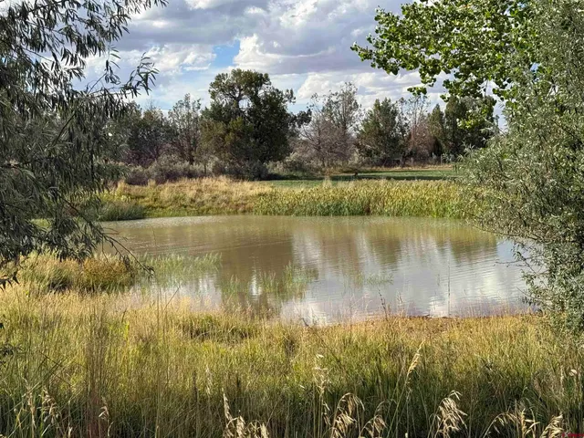 a view of a lake with a yard and trees all around