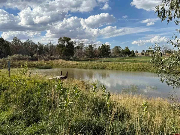 $785,000 | 20623 Rd North, Cortez, CO 81321