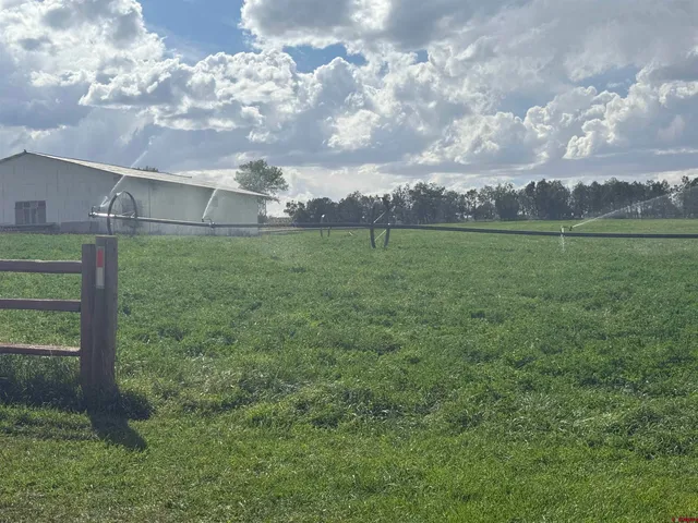 a view of a green yard