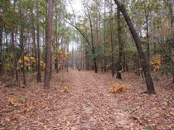 $49,900 | 0 Twin Pines Road, Keysville, GA 30816