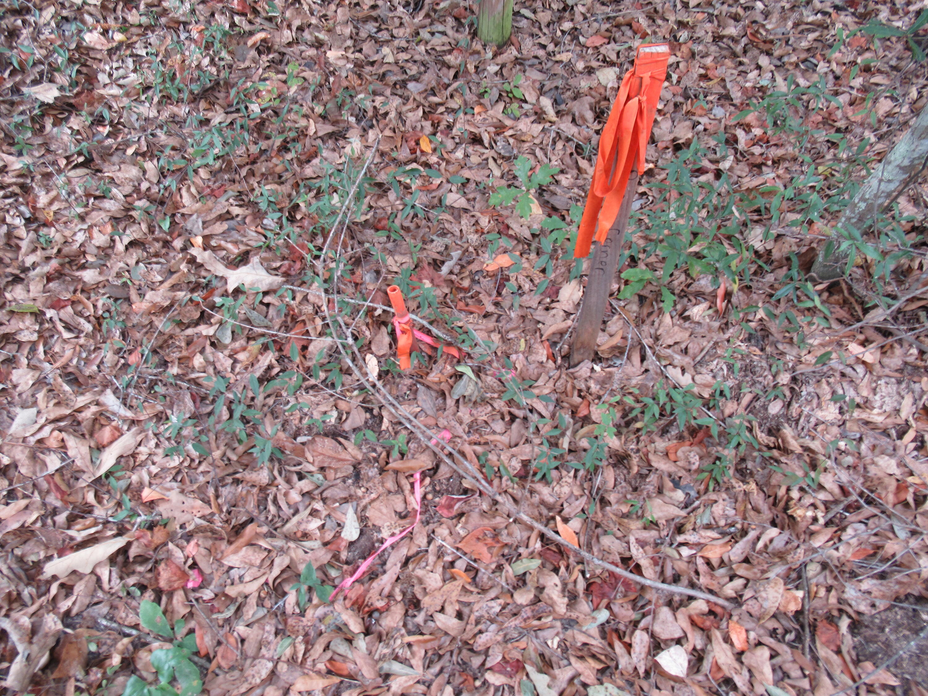 0 Twin Pines Road Keysville, GA 30816 - Photo 14 of 25 IMG_0642