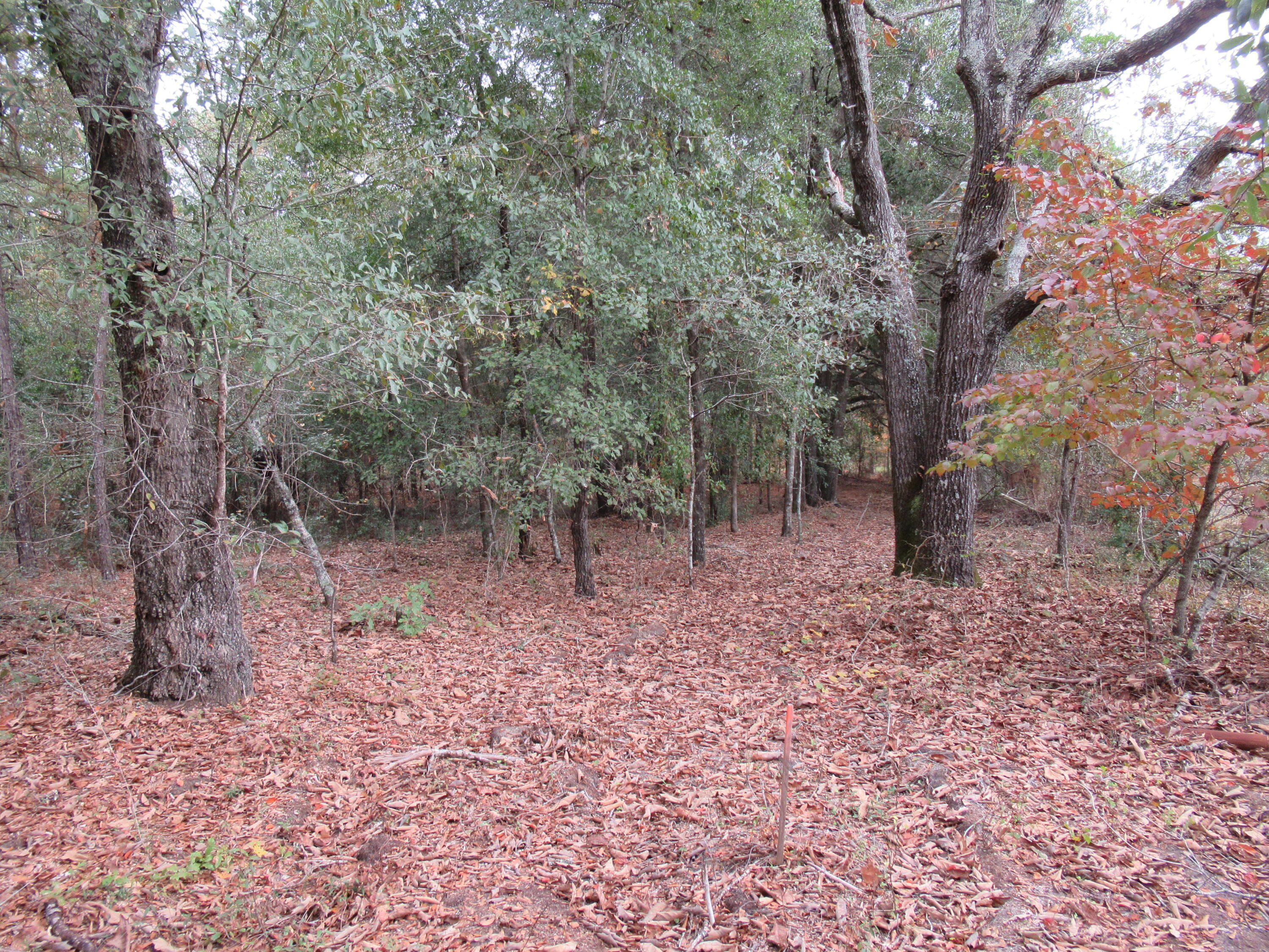 0 Twin Pines Road Keysville, GA 30816 - Photo 15 of 25 IMG_0643
