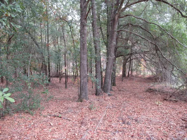 $49,900 | 0 Twin Pines Road, Keysville, GA 30816