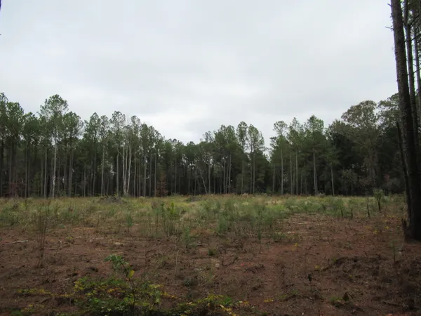$49,900 | 0 Twin Pines Road, Keysville, GA 30816