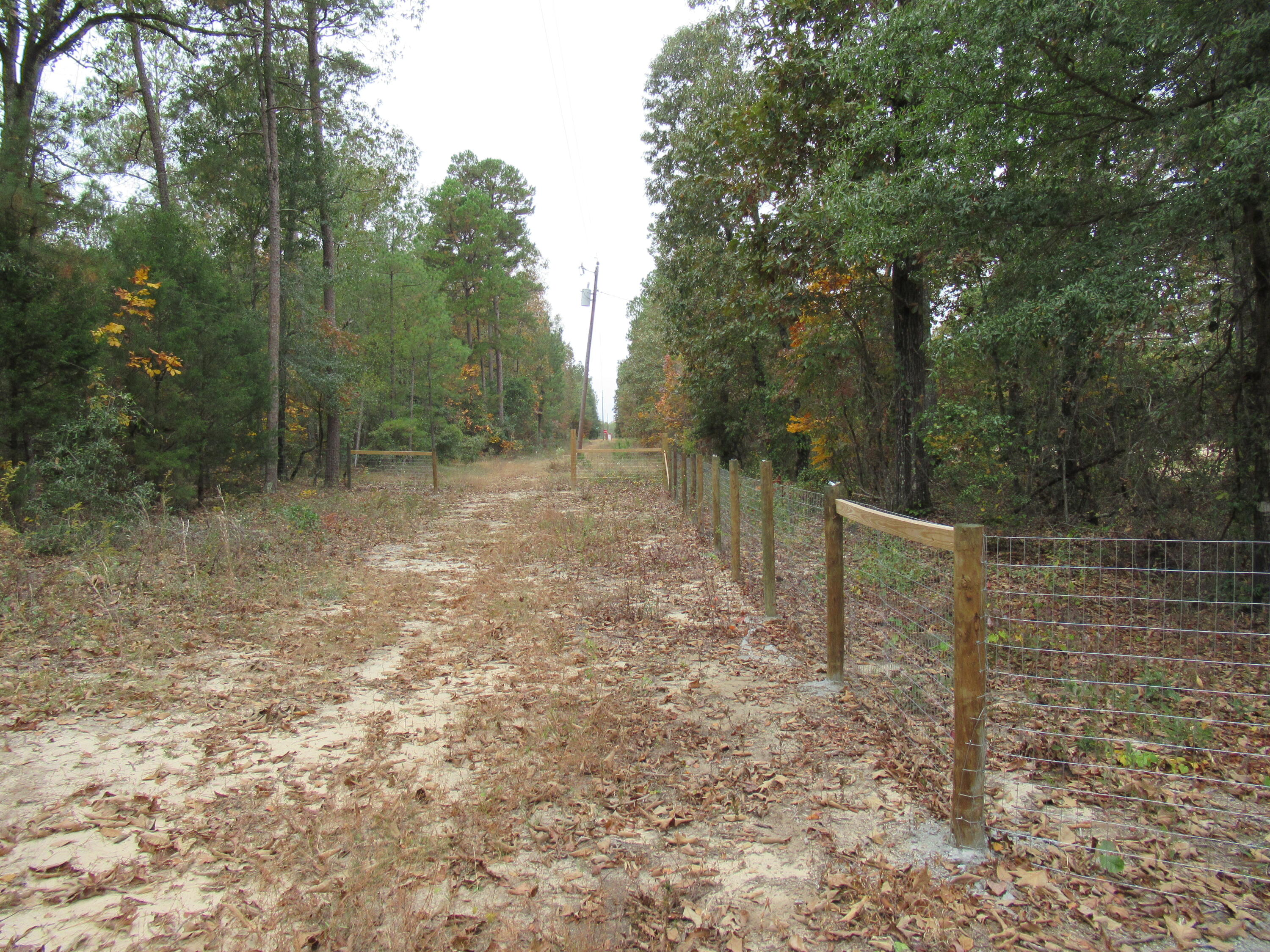 0 Twin Pines Road Keysville, GA 30816 - Photo 21 of 25 IMG_0649