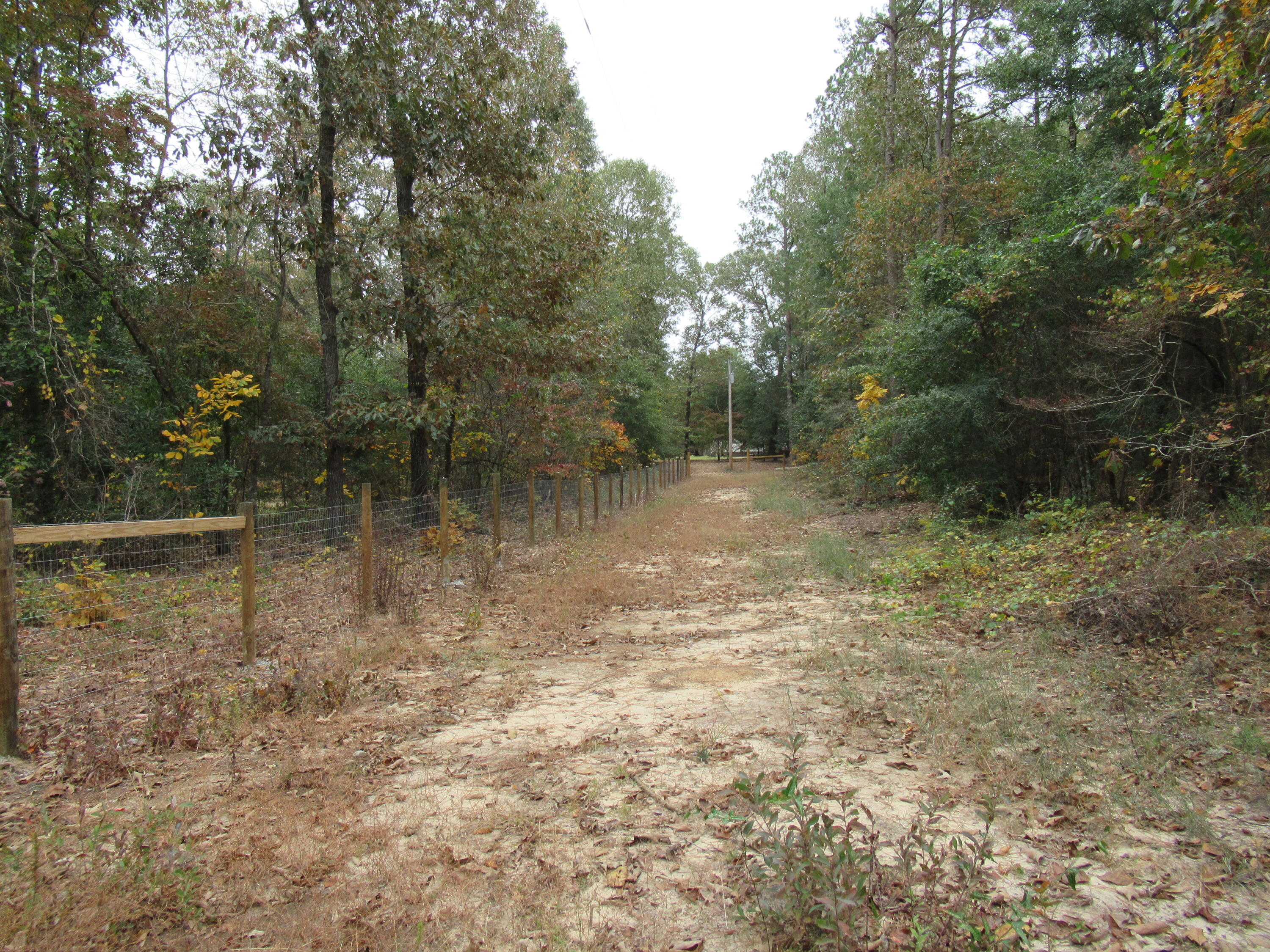 0 Twin Pines Road Keysville, GA 30816 - Photo 22 of 25 IMG_0650