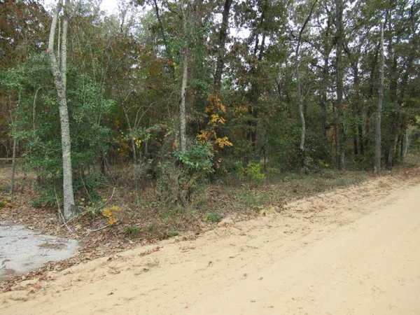 $49,900 | 0 Twin Pines Road, Keysville, GA 30816