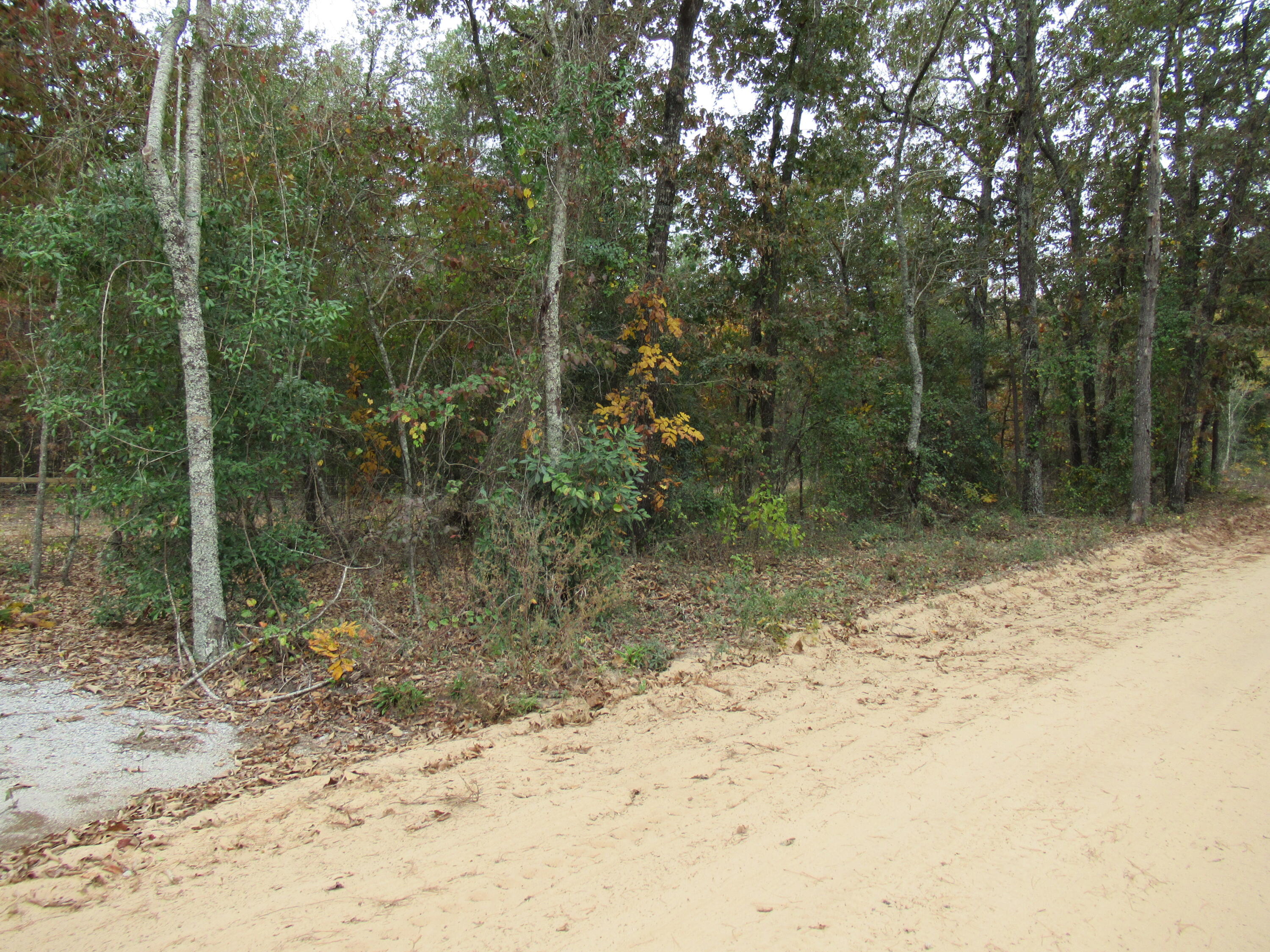 0 Twin Pines Road Keysville, GA 30816 - Photo 24 of 25 IMG_0652