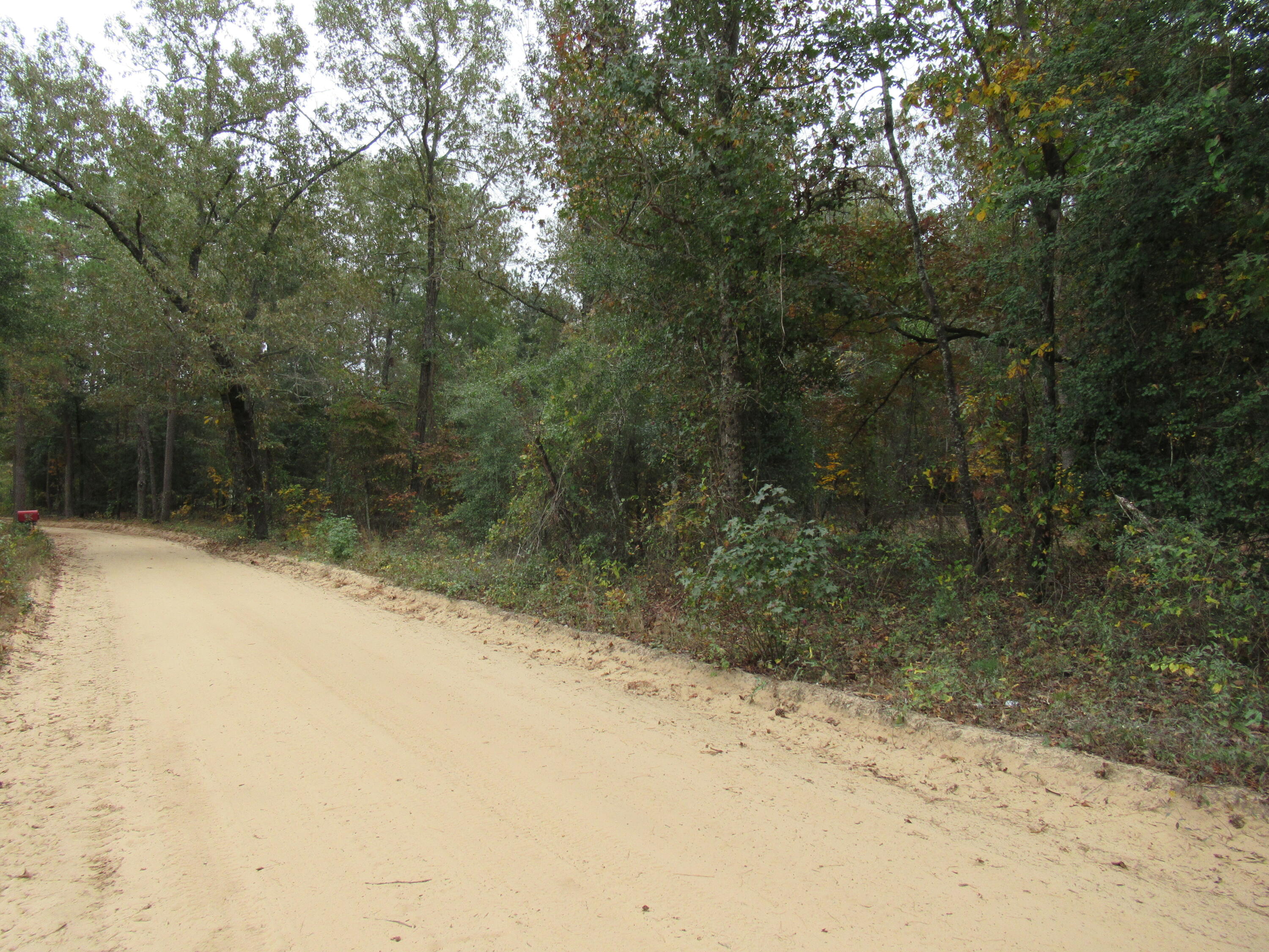 0 Twin Pines Road Keysville, GA 30816 - Photo 25 of 25 IMG_0653