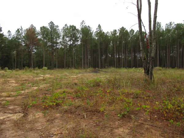 $49,900 | 0 Twin Pines Road, Keysville, GA 30816