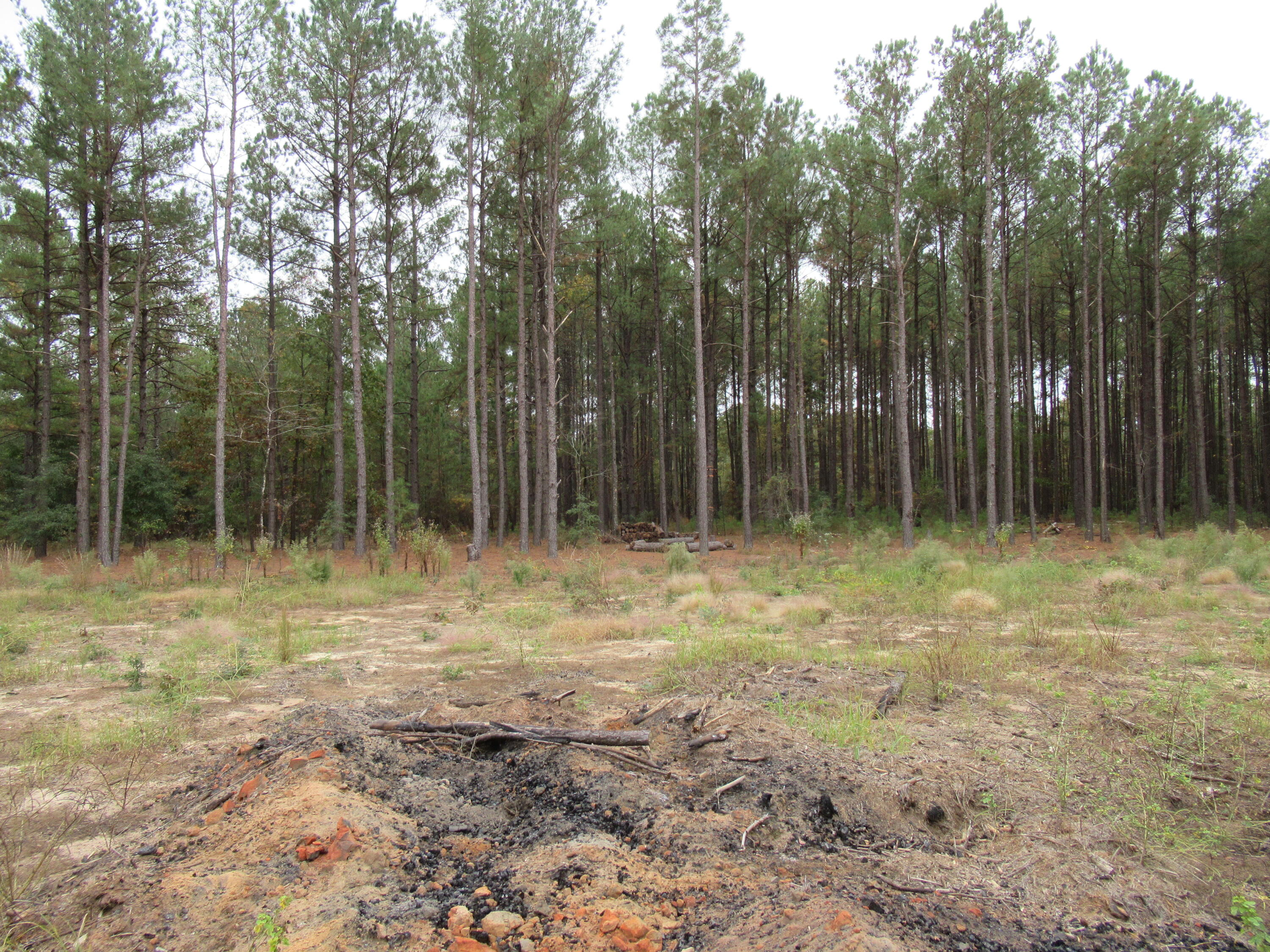 0 Twin Pines Road Keysville, GA 30816 - Photo 6 of 25 IMG_0634