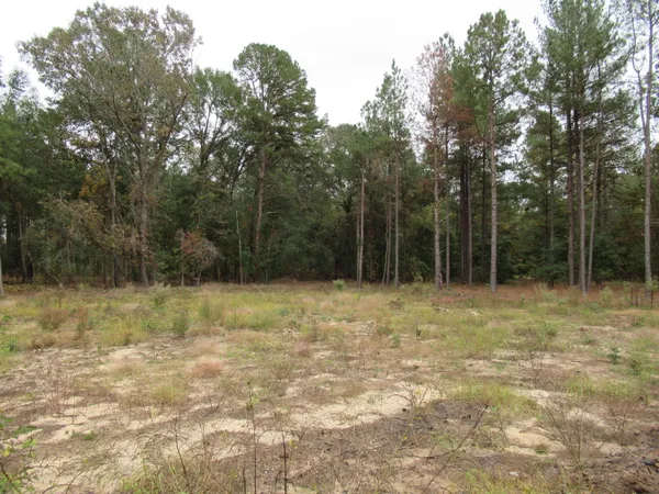 $49,900 | 0 Twin Pines Road, Keysville, GA 30816