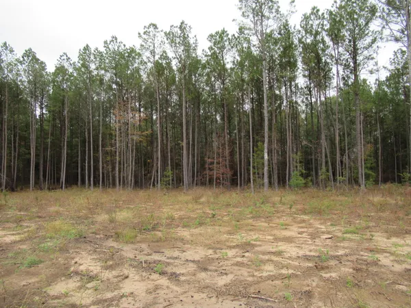 $49,900 | 0 Twin Pines Road, Keysville, GA 30816